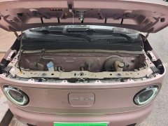 Geely Panda Mini 200km Endurance Edition - ფოტო 16