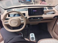 Geely Panda Mini 200km Endurance Edition - ფოტო 5