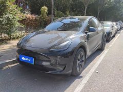 Tesla Model Y Rear-Wheel Drive - ფოტო 1