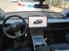 Tesla Model Y Rear-Wheel Drive - ფოტო 12