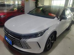 BYD Destroyer 05 Champion Edition DM-i 120KM Luxury - ფოტო 1