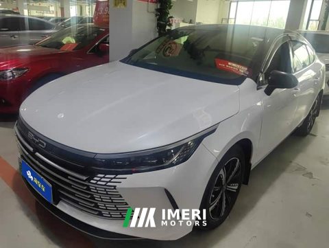 2023 BYD Destroyer 05 Champion Edition DM-i 120KM Luxury - ავტომობილი ჩინეთიდან
