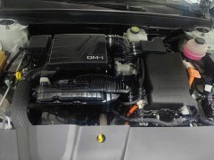 BYD Destroyer 05 Champion Edition DM-i 120KM Luxury - ფოტო 10