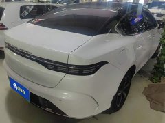BYD Destroyer 05 Champion Edition DM-i 120KM Luxury - ფოტო 3