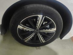 BYD Destroyer 05 Champion Edition DM-i 120KM Luxury - ფოტო 6