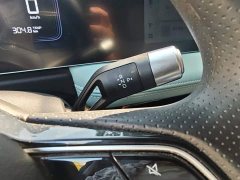 Geely Geometry E Firefly 401km Starlight - ფოტო 15