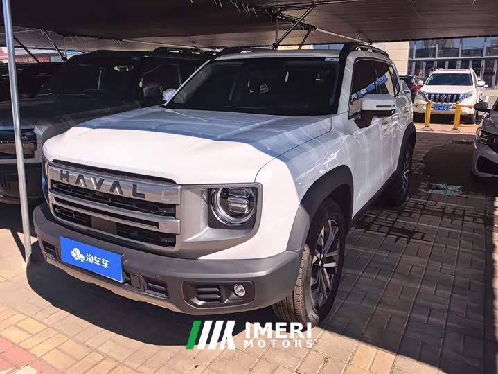 Great Wall Dachshund 2024 1.5T DCT Border Collie Edition - ავტომობილი ჩინეთიდან