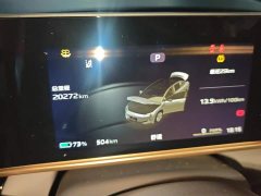 FAW Hongqi EH7 690 Pro Glory Edition - ფოტო 14