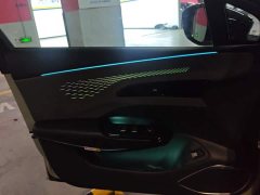 FAW Hongqi EH7 690 Pro Glory Edition - ფოტო 7
