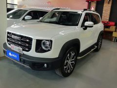 Great Wall Dachshund 2021 1.5T DCT Two-Wheel Drive Border Collie Edition - ფოტო 1