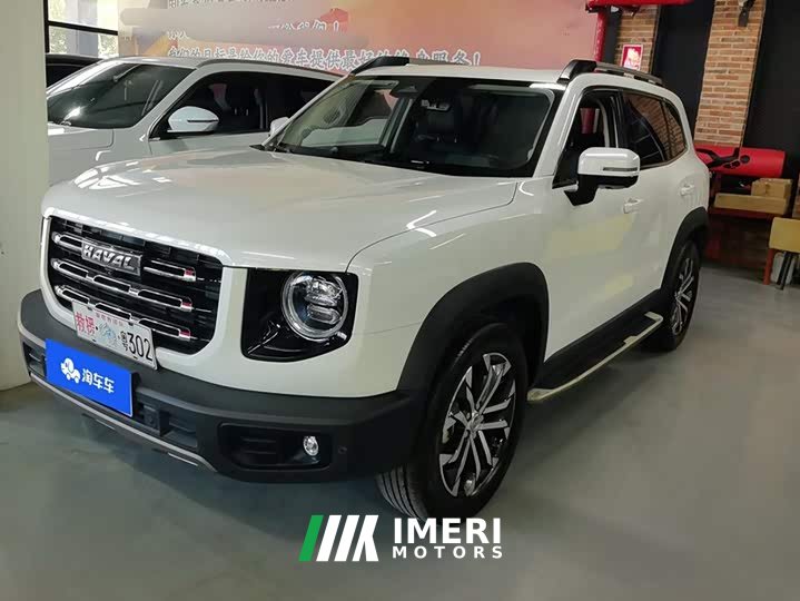 Great Wall Dachshund 1.5T DCT Two-Wheel Drive Border Collie Edition