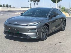 Geely Galaxy Xingyao 8 130km EM-i Premium Edition - ფოტო 1