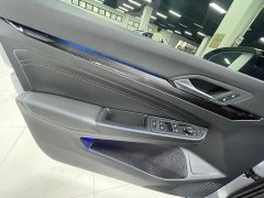 Volkswagen Golf 280TSI DSG R-Line 50th Anniversary Edition - ფოტო 11