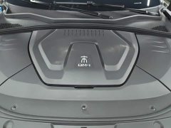 BYD Song Plus New Energy 2021 DM-i 110KM Flagship Plus 5G Edition - ფოტო 10