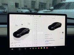 Tesla Model 3 Rear-Wheel Drive - ფოტო 14