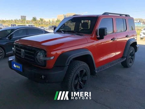 2021 Tank 300 Off-Road Edition 2.0T Challenger - ავტომობილი ჩინეთიდან