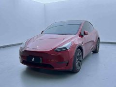 Tesla Model Y 2023 Long Range All-Wheel Drive - ფოტო 1