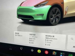 Tesla Model Y 2023 Long Range All-Wheel Drive - ფოტო 9