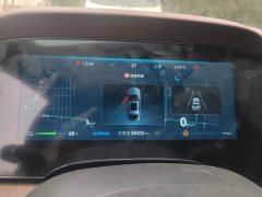 BYD Dolphin DM-i 1.5T 121km Premium Edition - ფოტო 14