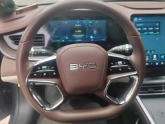 BYD Dolphin DM-i 1.5T 121km Premium Edition - ფოტო 15
