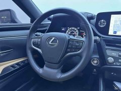 Lexus ES 200 Excellence Edition - ფოტო 10