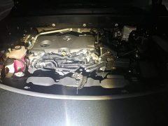 Toyota Harrier Hybrid 2.5L CVT FWD Luxury - ფოტო 10