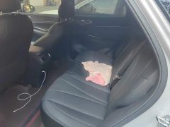 BYD Haima Sealion 06 DM-i 205 Pilot Pro - ფოტო 11