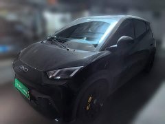 BYD Seagull Freedom Edition - ფოტო 1