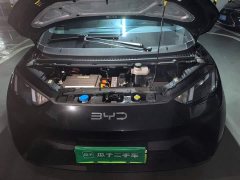 BYD Seagull Freedom Edition - ფოტო 16