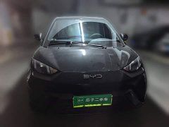 BYD Seagull Freedom Edition - ფოტო 2