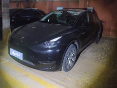 Tesla Model Y Standard Range RWD - ფოტო 1