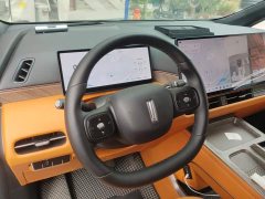 Great Wall WEY Shanshan New Energy Four-Wheel Drive Shanshan 9 - ფოტო 15