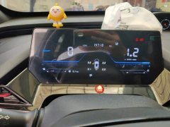 Changan Oshan Z6 Blue Whale 2.0T Automatic Zhixing Trim - ფოტო 14