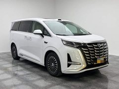 Denza BYD Denza D9 DM-i Smart Drive 1020 Four-Wheel Drive Premium - ფოტო 13