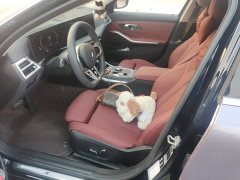BMW 3 Series 325Li M Sport Package - ფოტო 9