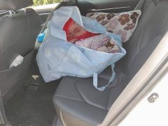 Toyota Camry 2.0G Luxury Edition - ფოტო 10