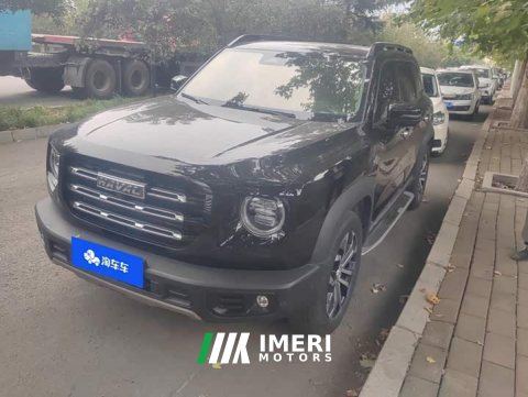 2021 Great Wall Dachshund 1.5T DCT Two-Wheel Drive Malinois Edition - ავტომობილი ჩინეთიდან