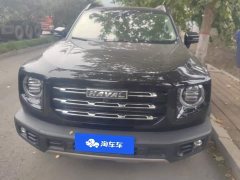 Great Wall Dachshund 1.5T DCT Two-Wheel Drive Malinois Edition - ფოტო 2