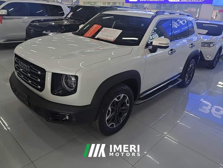 Great Wall Dachshund 2021 2.0T DCT Four-wheel Drive Howling Heavenly Dog Edition - ავტომობილი ჩინეთიდან