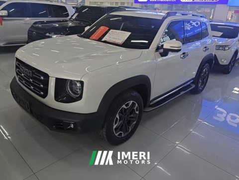 2022 Great Wall Dachshund 2021 2.0T DCT Four-wheel Drive Howling Heavenly Dog Edition - ავტომობილი ჩინეთიდან