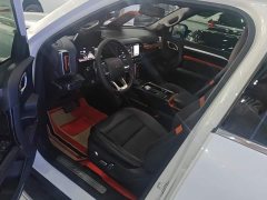 Great Wall Dachshund 2021 2.0T DCT Four-wheel Drive Howling Heavenly Dog Edition - ფოტო 9