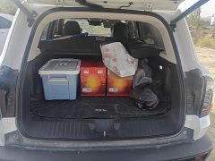 Great Wall Dachshund 2.0T DCT Four-wheel Drive Howling Heavenly Dog Edition - ფოტო 4