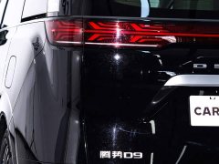 Denza BYD Denza D9 2024 DM-i 1050 Premium - ფოტო 11