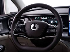 Denza BYD Denza D9 2024 DM-i 1050 Premium - ფოტო 15