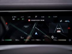 Denza BYD Denza D9 2024 DM-i 1050 Premium - ფოტო 16