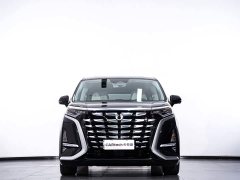 Denza BYD Denza D9 2024 DM-i 1050 Premium - ფოტო 4