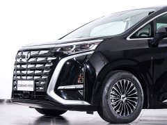 Denza BYD Denza D9 2024 DM-i 1050 Premium - ფოტო 5