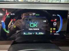 BYD Song Pro New Energy 2022 DM-i 110km Flagship Pro - ფოტო 11