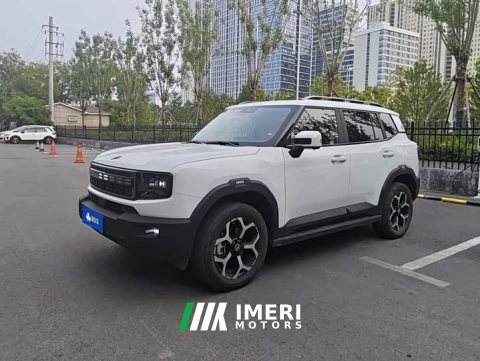 2024 Jetour Jietu Shanhai T1 150km Xianghai - ავტომობილი ჩინეთიდან