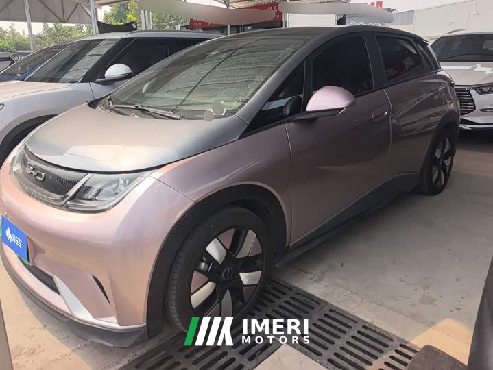 BYD Dolphin 401km Knight Edition - ავტომობილი ჩინეთიდან